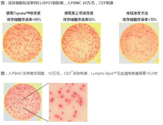 Freezingkit.jpg Freezingkit.jpg