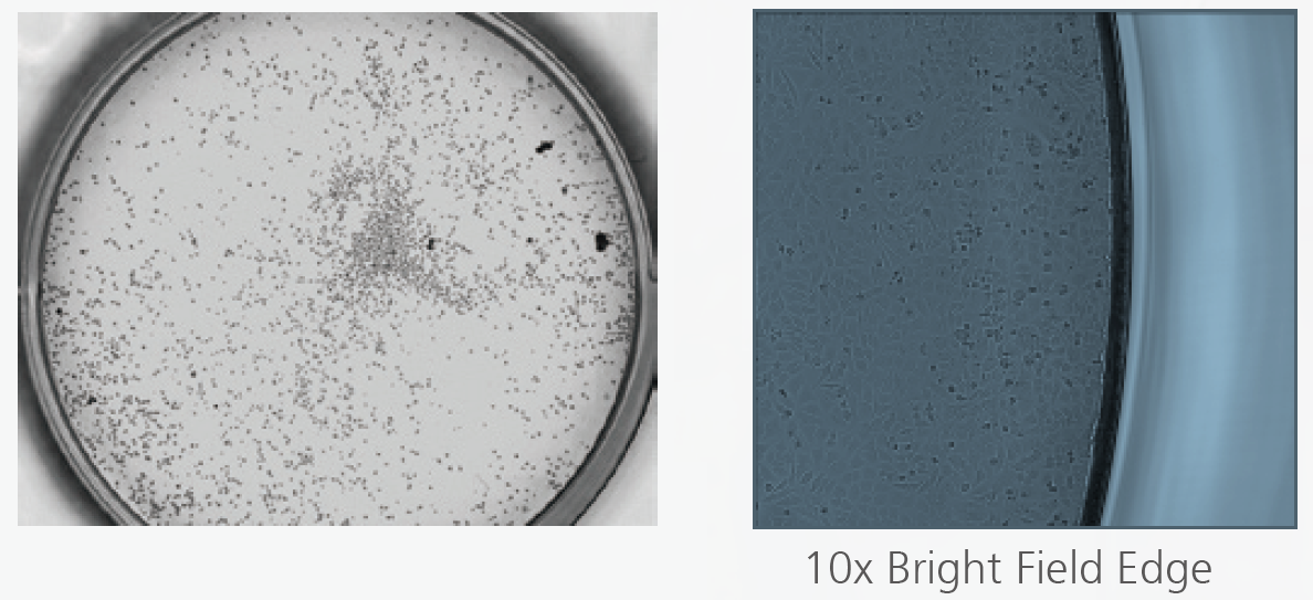 圖片3.png 圖片3.png