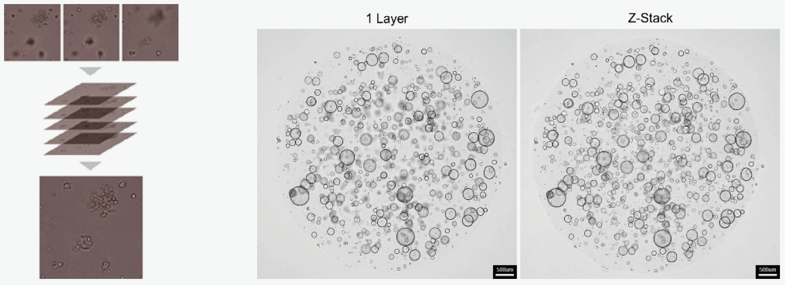 圖片4.png 圖片4.png