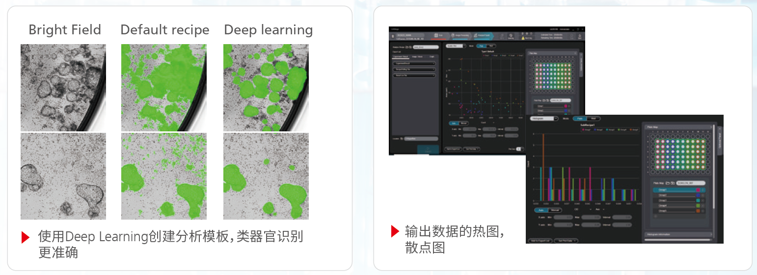 圖片6.png 圖片6.png